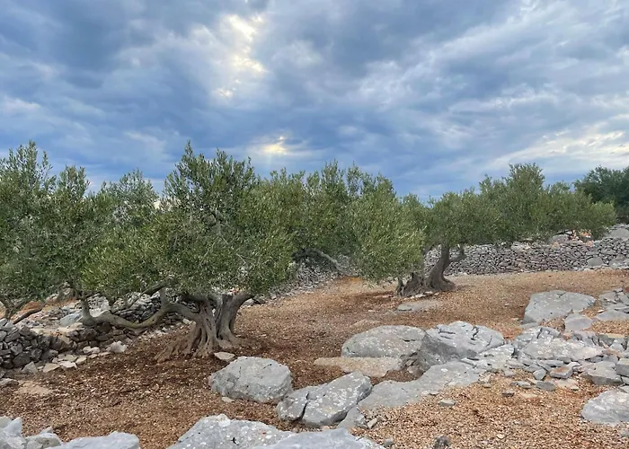 Strandhaus Danica - Bain- Zut - Kornati By Interhome Pristanisce